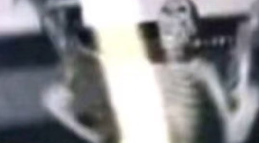 怪物崛起战争手机版下载 v1.0 安卓版