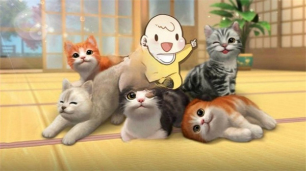 世界猫奶奶行游戏下载 v4.7.16 安卓版