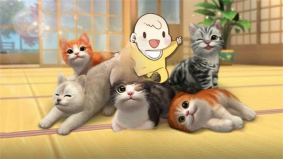 猫咪和奶奶的世界游戏下载 v4.7.25 安卓版