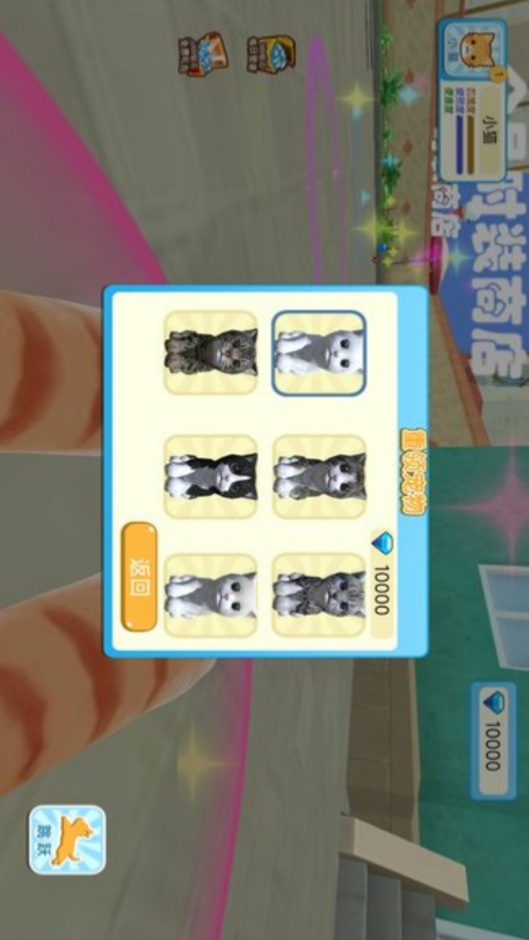 猫咪奇幻世界探险游戏下载 v4.7.25 安卓版