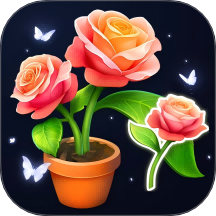 整理我最强游戏下载 v1.0.0 安卓版 整理我最强游戏下载 v1.0.0 安卓版