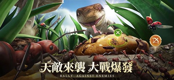 The Ants小小蚁国国际版下载官方正版 v3.75.0 最新版