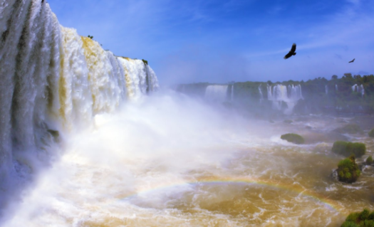 追剧猫app官方下载