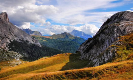 追剧猫app官方下载