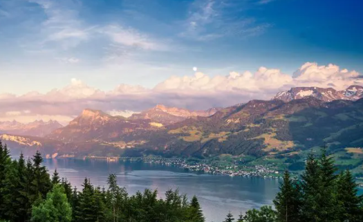 追剧猫app官方下载