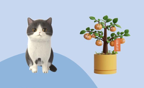 万象小组件app下载安卓版