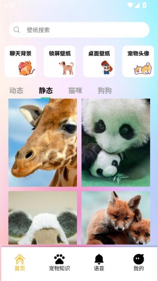 桌面宠物壁纸app下载安装