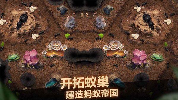小小蚁国游戏官方 v3.0.60 最新版