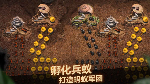小小蚁国游戏官方 v3.0.60 最新版