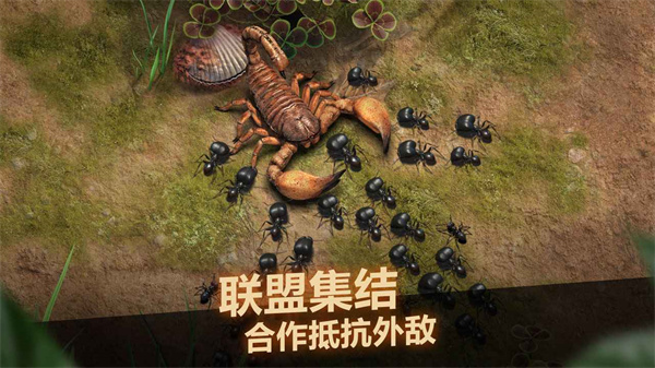 小小蚁国游戏官方 v3.0.60 最新版