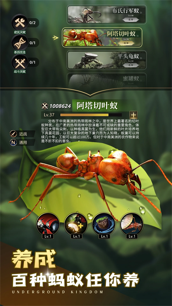 小小蚁国应用宝 v3.0.60 手机版