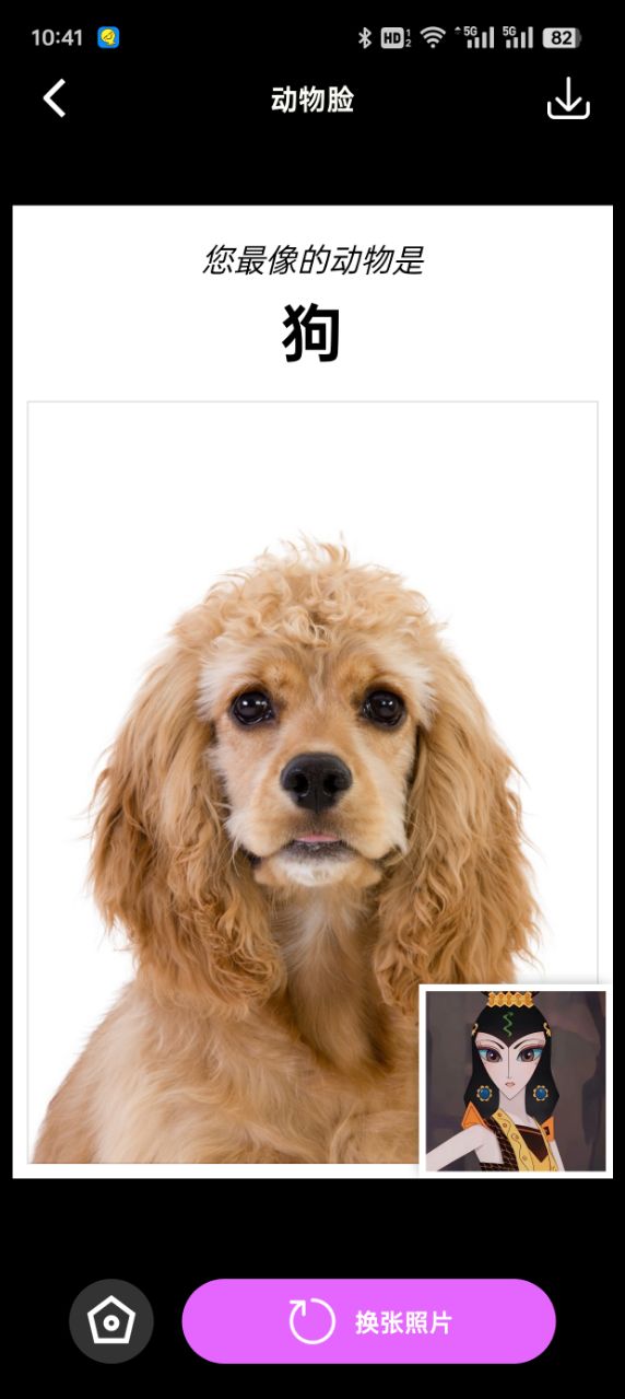 拍拍秀app v1.6.7 最新版