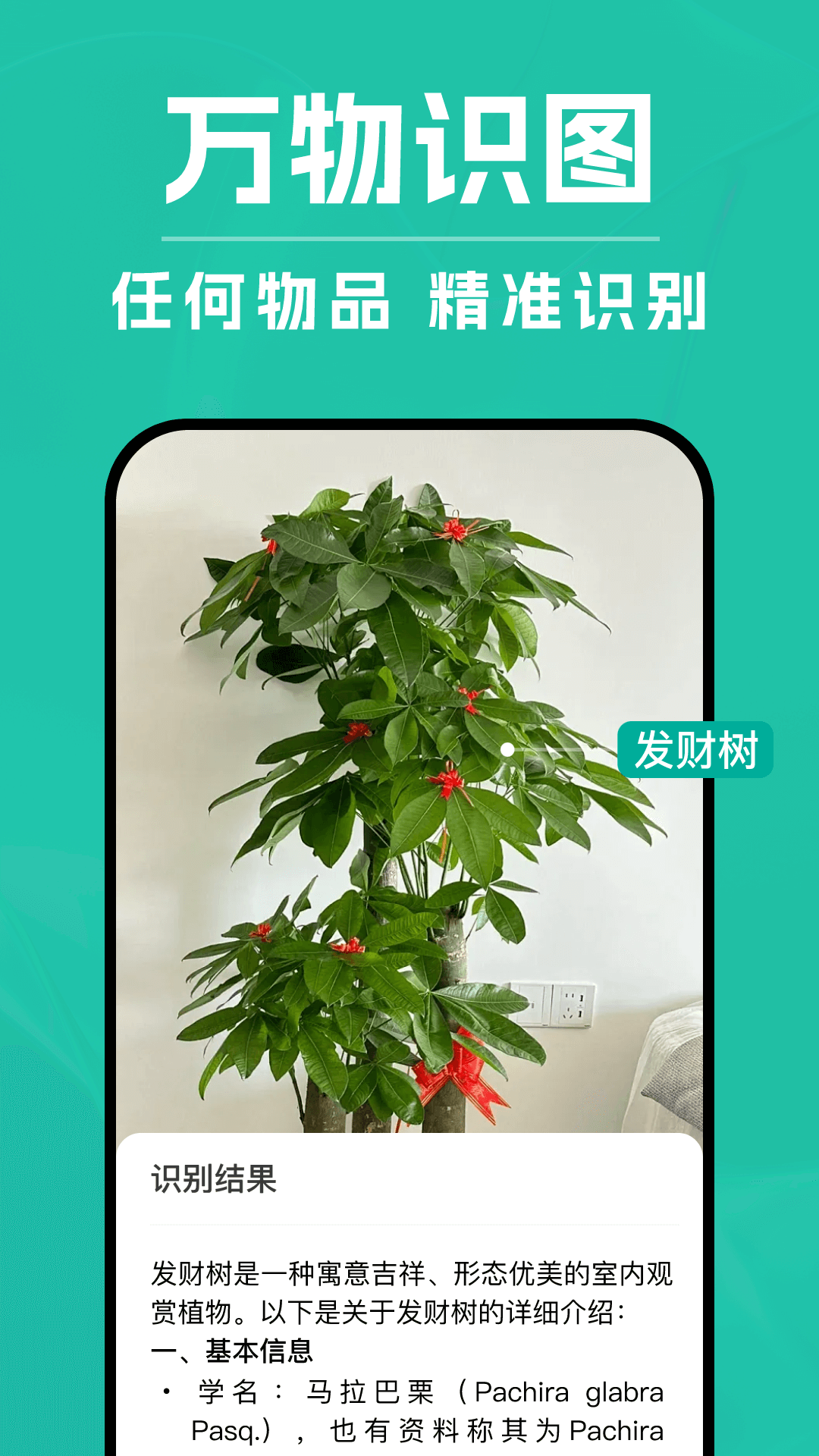 DeepAI扫描王官方版 v1.1.1 安卓版