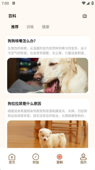 小熊猫CZR手机版下载 小熊猫CZR手机版下载