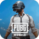 pubg地铁逃生(PUBG MOBILE)官方正版下载 v4.1.0 安卓最新版