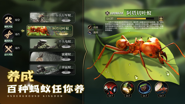 小小蚁国小米客户端下载 v3.0.60 最新官方版