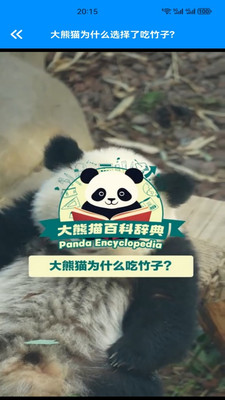 小熊猫CZR手机版下载 v1.3 安卓版