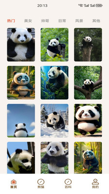 小熊猫CZR手机版下载 v1.3 安卓版