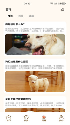 小熊猫CZR手机版下载 v1.3 安卓版