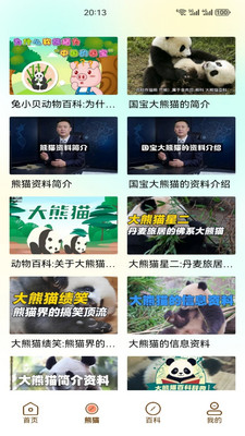 小熊猫CZR手机版下载 v1.3 安卓版