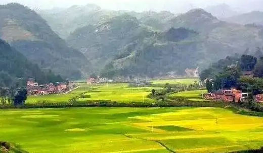 鹿乡融媒 鹿乡融媒