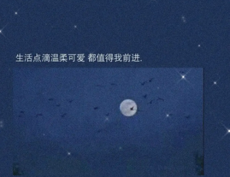 凉笙版am软件2023最新版