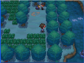 口袋妖怪黑版BW