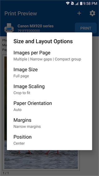 NokoPrint免费版本下载 v5.26.2 安卓版