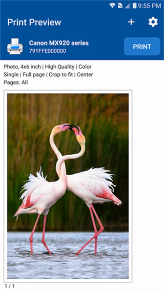 NokoPrint免费版本下载 v5.26.2 安卓版