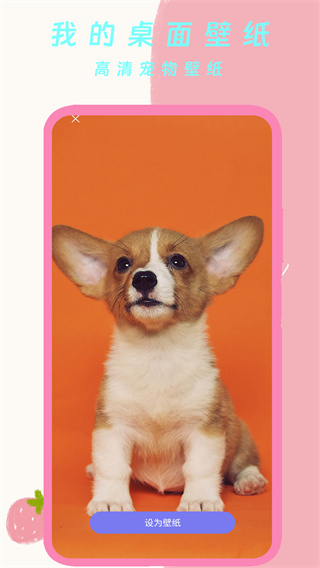 我的桌面壁纸app下载 v2.0