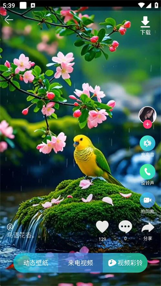 铃声多多手机铃声大全免费下载