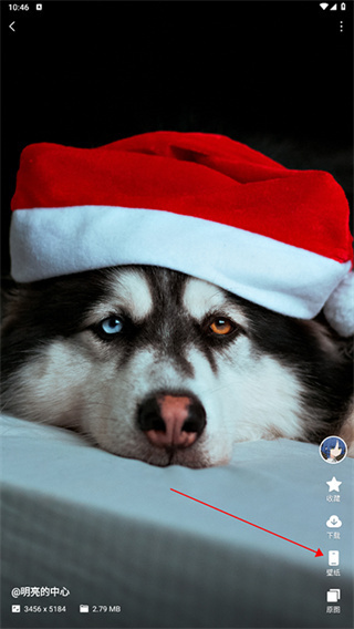 汽水壁纸安卓版下载 汽水壁纸安卓版下载