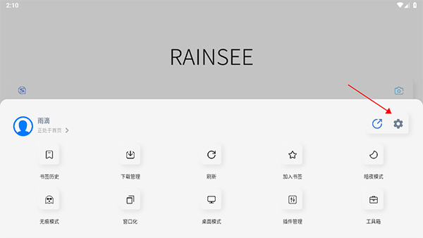 rains浏览器安卓版下载