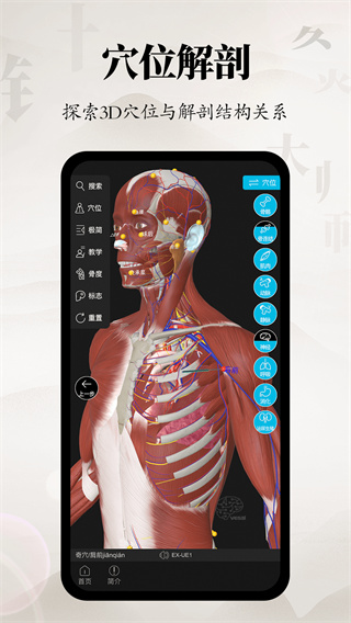针灸大师安卓版下载 v3.5.1