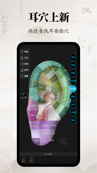 针灸大师安卓版下载 v3.5.1