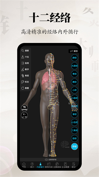 针灸大师安卓版下载 v3.5.1