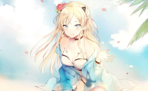 天空视频投屏版