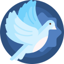 白鸽软件库官方下载 v2.1 安卓版